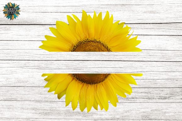 Download Split Sunflower Sublimation Transparent - Premium Bundle