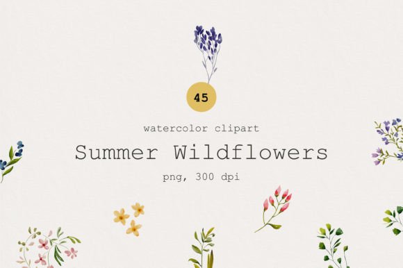 Download Watercolor Summer Floral Clipart - Summer Collection