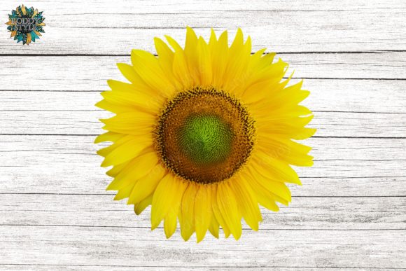 Download Sunflower Design PNG Sublimation - Premium Bundle