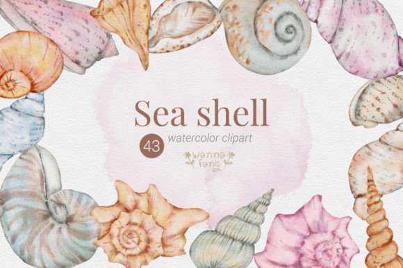 Download Sea Shell Summer Watercolor Clipart, PNG - Summer Collection