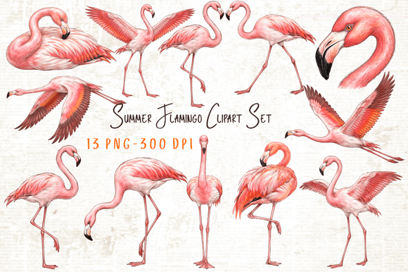 Download Summer Flamingo Clipart Set PNG - Summer Collection